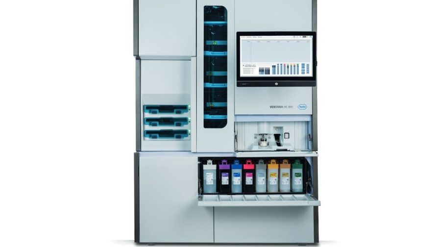 apilaページ 新色登場】ALPINAソールを搭載したブーツ感覚で履けるシューズ