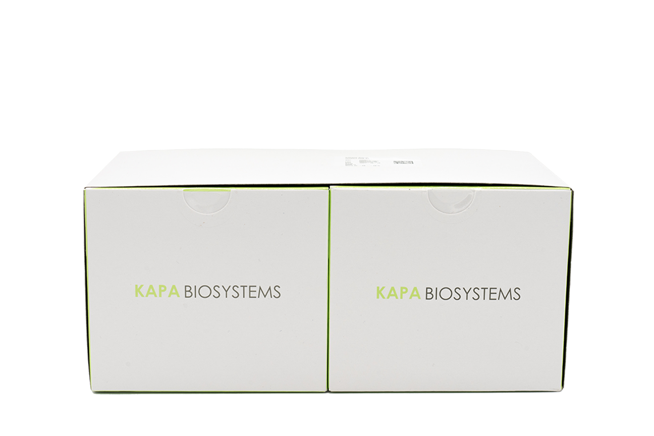 KAPA2G Robust HotStart PCR Kit, mutant from Thermus aquaticus