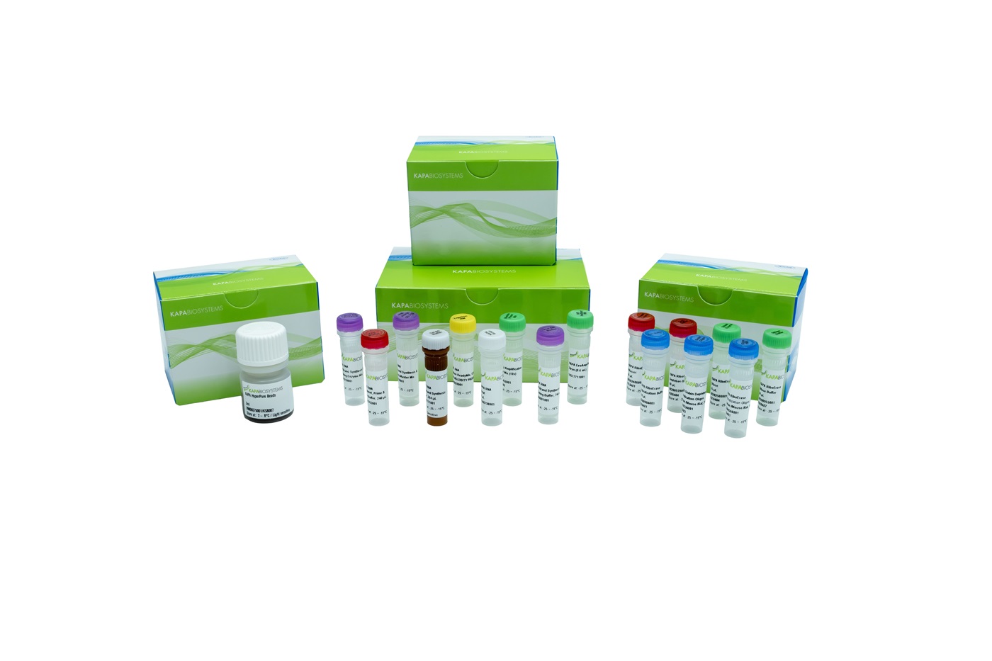 KAPA RNA EvoPrep Kit with RiboErase (HMR) Globin